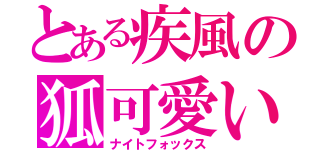 とある疾風の狐可愛い（ナイトフォックス）