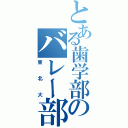 とある歯学部のバレー部（東北大）