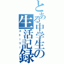 とある中学生の生活記録Ⅱ（ストーリー）