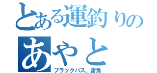 とある運釣りのあやと（ブラックバス、雷魚）