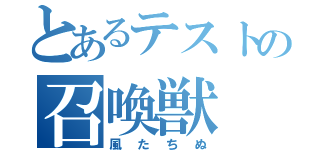 とあるテストの召喚獣（風たちぬ）