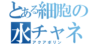 とある細胞の水チャネル（アクアポリン）