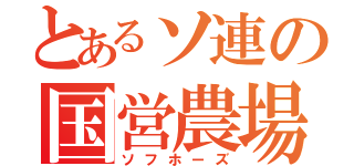 とあるソ連の国営農場（ソフホーズ）