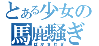 とある少女の馬鹿騒ぎ（ばかさわぎ）