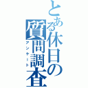 とある休日の質問調査（アンケート）