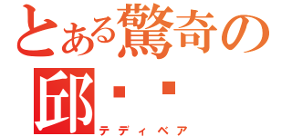 とある驚奇の邱魛渔（テディベア）