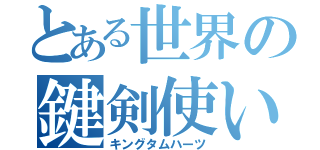 とある世界の鍵剣使い（キングタムハーツ）