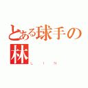 とある球手の林來瘋（ＬＩＮ）