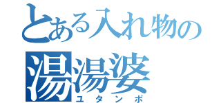 とある入れ物の湯湯婆（ユタンポ）