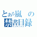 とある嵐の禁書目録（インデックス）