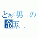 とある男の金玉（パラダイス）