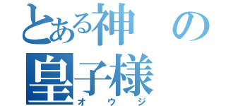 とある神の皇子様（オウジ）