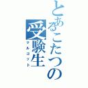 とあるこたつの受験生（マルゴット）