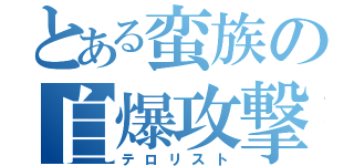 とある蛮族の自爆攻撃（テロリスト）