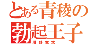 とある青稜の勃起王子（川野寛太 ）