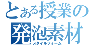 とある授業の発泡素材（スタイルフォーム）