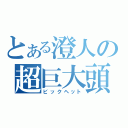 とある澄人の超巨大頭（ビックヘット）