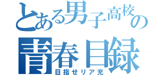 とある男子高校生の青春目録（目指せリア充）