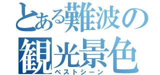 とある難波の観光景色（ベストシーン）