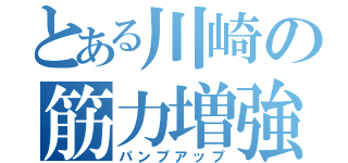 とある川崎の筋力増強（パンプアップ）