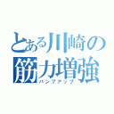 とある川崎の筋力増強（パンプアップ）