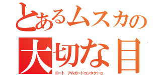 とあるムスカの大切な目（ロート アルガードコンタクトα）