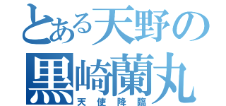 とある天野の黒崎蘭丸（天使降臨）