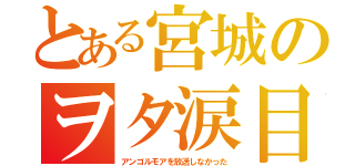 とある宮城のヲタ涙目（アンゴルモアを放送しなかった）