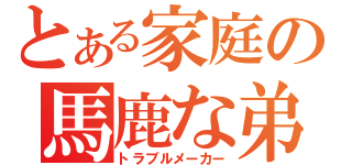 とある家庭の馬鹿な弟（トラブルメーカー）