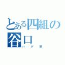 とある四組の谷口（ハゲ頭）