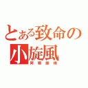 とある致命の小旋風（阿珊師傅）