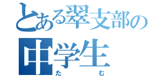 とある翠支部の中学生（たむ）