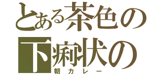 とある茶色の下痢状の（朝カレー）