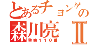 とあるチョンゲの森川亮Ⅱ（警察１１０番）