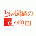 とある燐猫のｃｏｍｍ（コム）