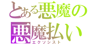 とある悪魔の悪魔払い（エクソシスト）