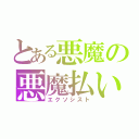 とある悪魔の悪魔払い（エクソシスト）