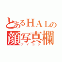 とあるＨＡＬの顔写真欄（アイコン）