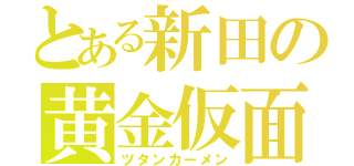 とある新田の黄金仮面（ツタンカーメン）