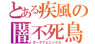 とある疾風の闇不死鳥（ダークフェニックス）