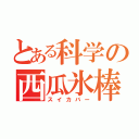 とある科学の西瓜氷棒（スイカバー）