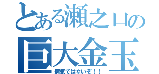 とある瀬之口の巨大金玉（病気ではないぞ！！）