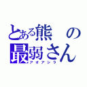 とある熊の最弱さん（アオアシラ）