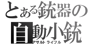 とある銃器の自動小銃（アサルトライフル）