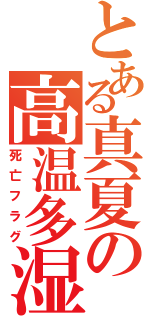 とある真夏の高温多湿（死亡フラグ）