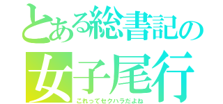 とある総書記の女子尾行（これってセクハラだよね）