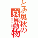 とある奥秋の哀願動物（ロングコートチワワ）