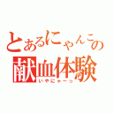 とあるにゃんこの献血体験（いやにゃーっ）