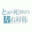 とある死神の左右対称（シンメトリー）