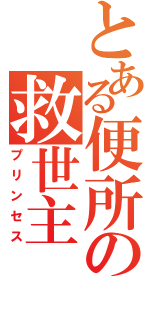 とある便所の救世主（プリンセス）